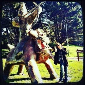 Meet your Posher, Tanner